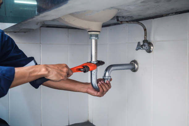 Best Affordable Plumber Near Me  in Goodhue, MN