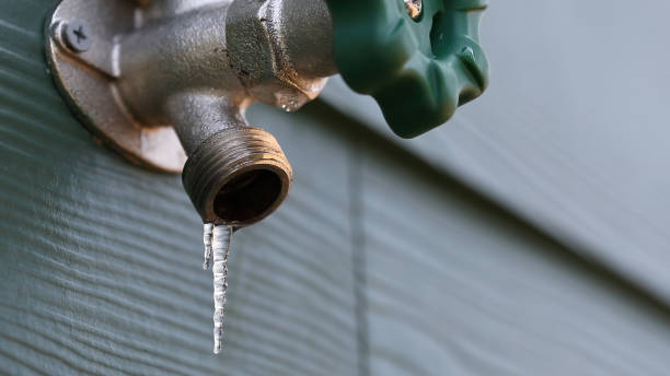 Best Emergency Plumbing Repair  in Goodhue, MN
